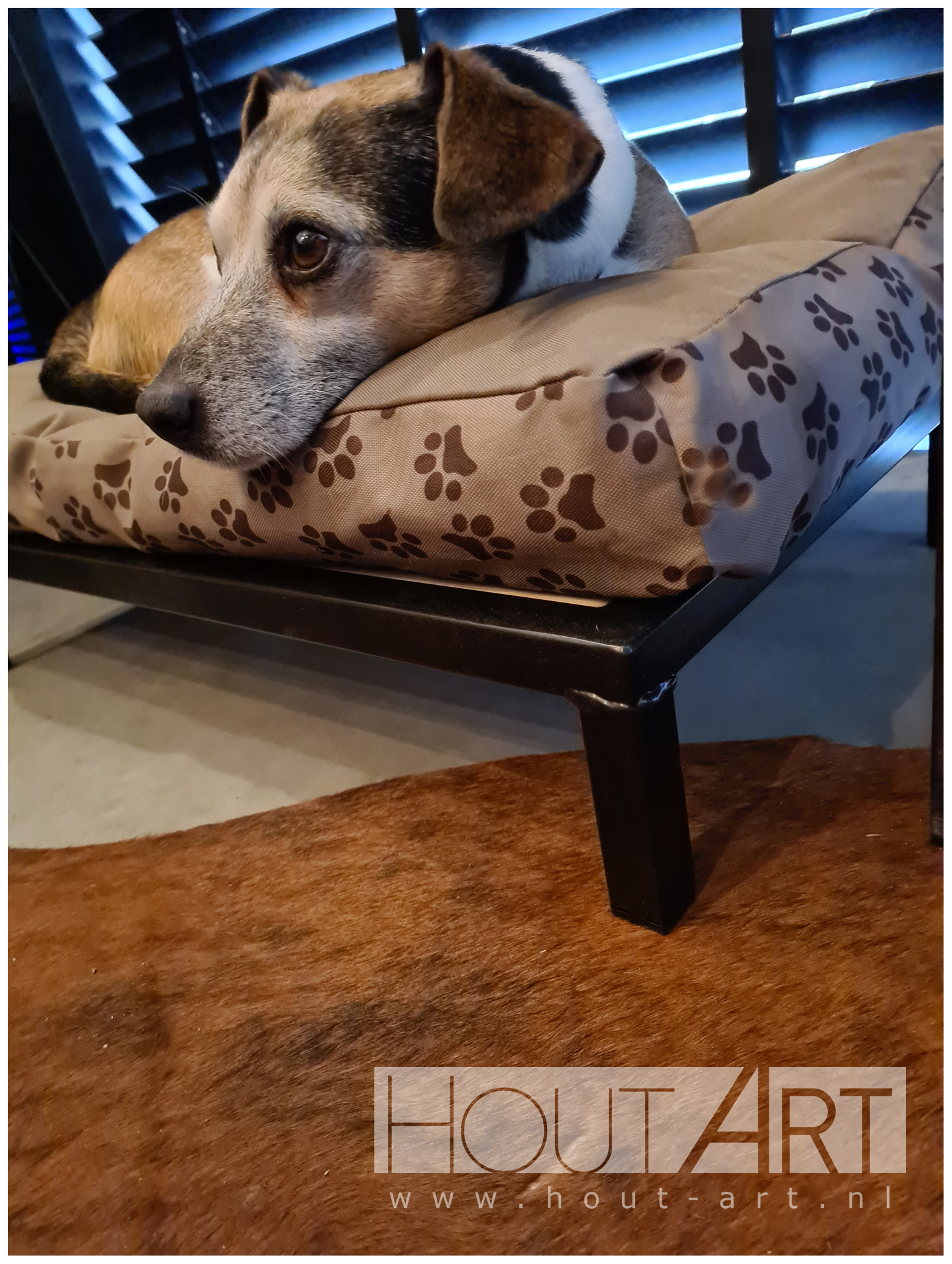 Hondenmand indus bsc stalen frame van Hout-Art. staal, mand, manden, kussen, maatwerk, houtart.