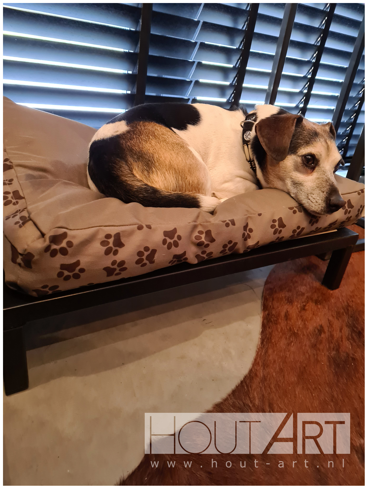 Hondenmand indus bsc stalen frame van Hout-Art. staal, mand, manden, kussen, maatwerk, houtart.