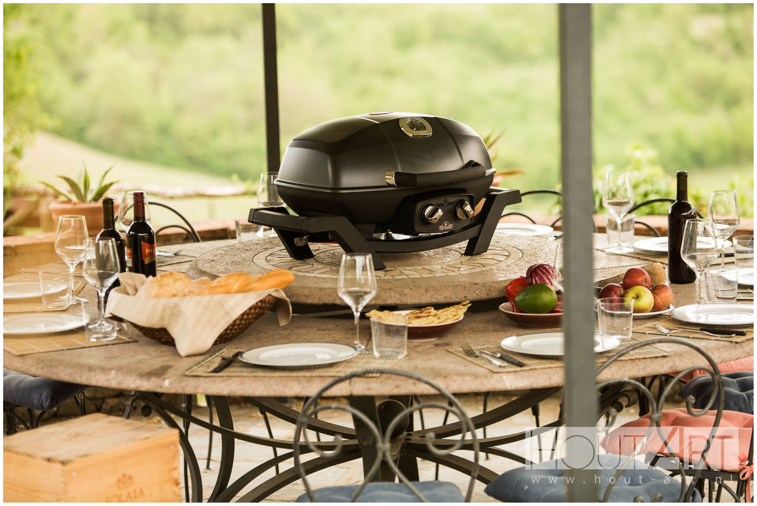 BBQ Napoleon TravelQ Pro285 gas van Hout-Art.