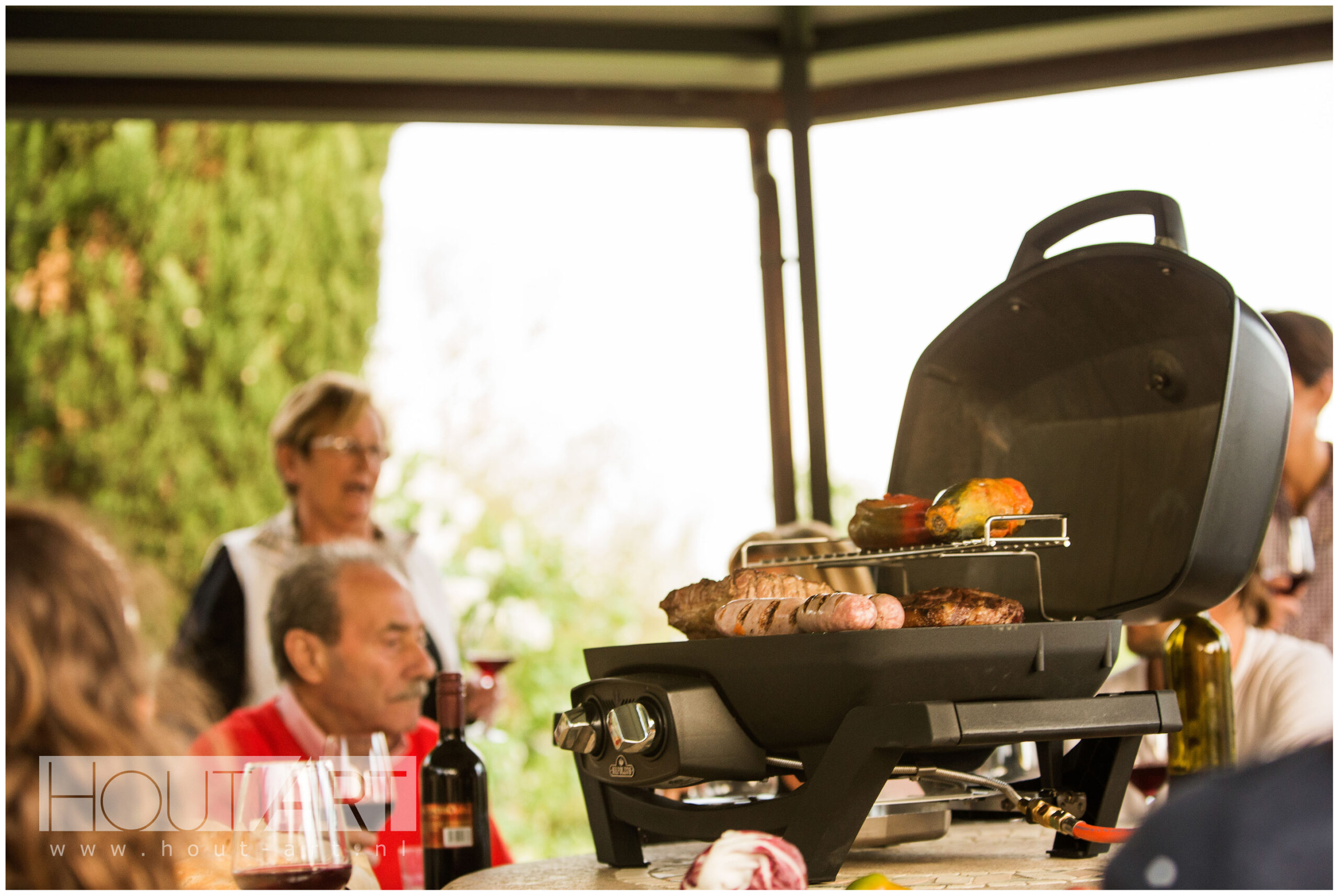 BBQ Napoleon TravelQ Pro285 gas van Hout-Art.
