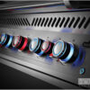 Inbouw BBQ Napoleon 700-serie dubbele hoofdbrander van Hout-Art.